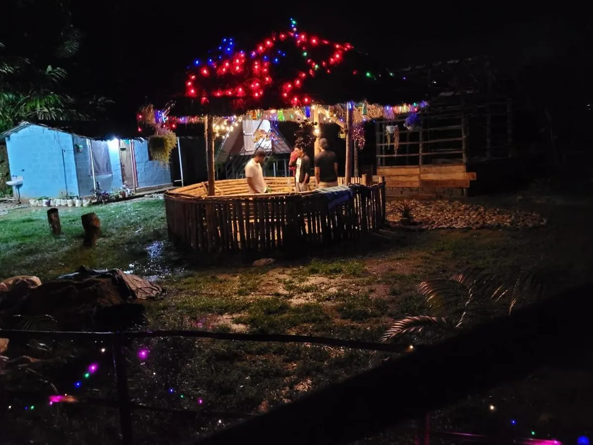 Bed & Breakfast Bed and Breakfast The Midnight Campers Munnar