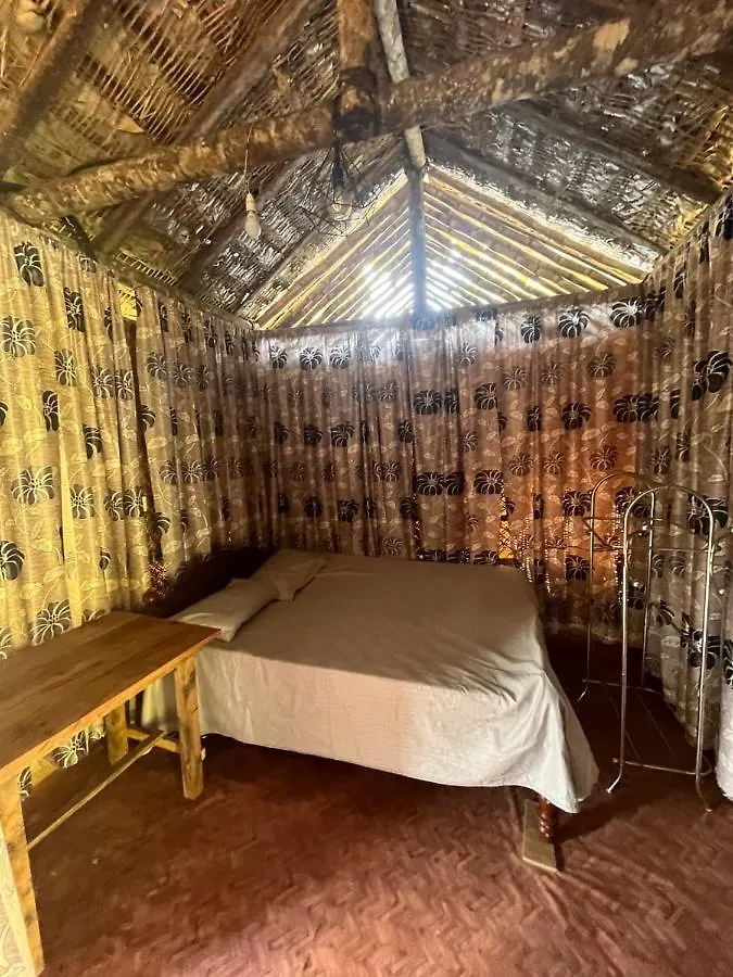 Bed and Breakfast The Midnight Campers Munnar Bed & Breakfast