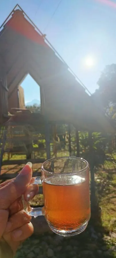무나르 The Midnight Campers B&B 0*,  인도